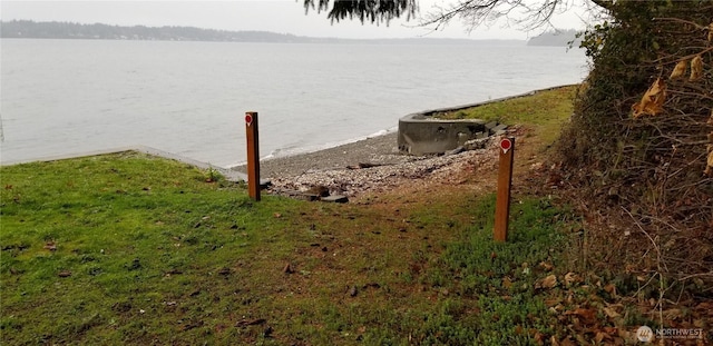 4805 Cushman Rd NE Unit 115, Olympia, WA 98506 - water view