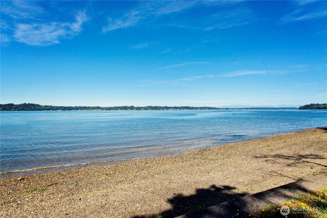 4805 Cushman Rd NE Unit 115, Olympia, WA 98506 - water view
