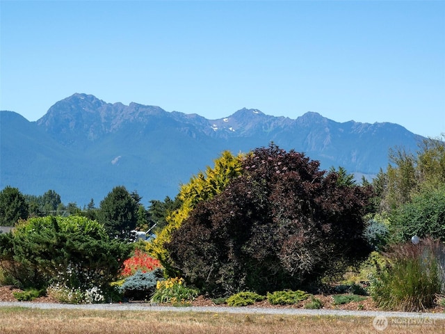 0 Buckhorn Rd, Sequim, WA 98382