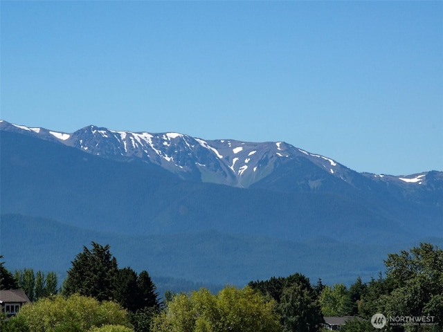0 Buckhorn Rd, Sequim, WA 98382