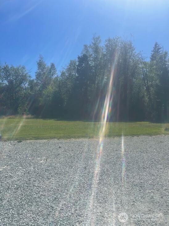 7203 Erna Ln, Sedro Woolley, WA 98284 - view of road with a wooded view