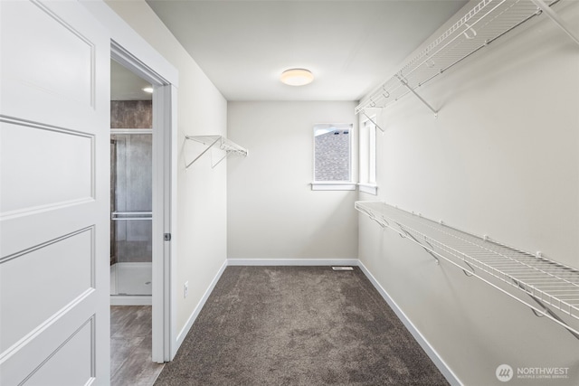605 26th Avenue Ct, Milton, WA 98354 - walk in closet featuring carpet flooring