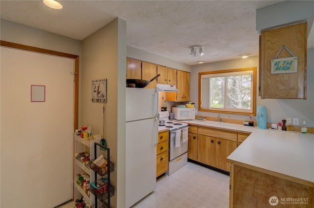 30505 H St, Ocean Park, WA 98640 - photo 9