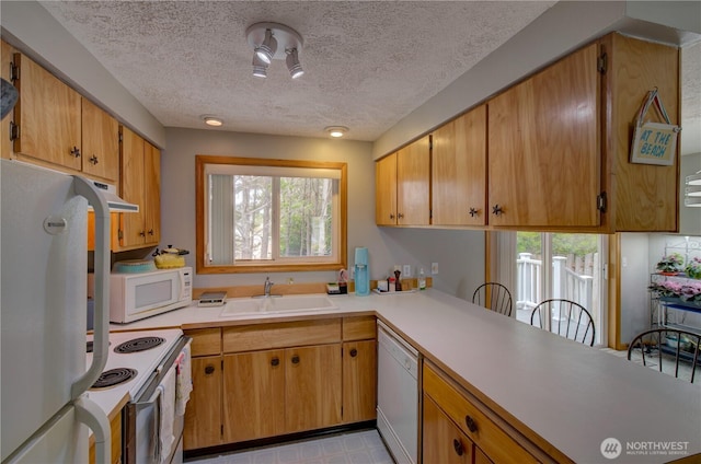 30505 H St, Ocean Park, WA 98640 - photo 10