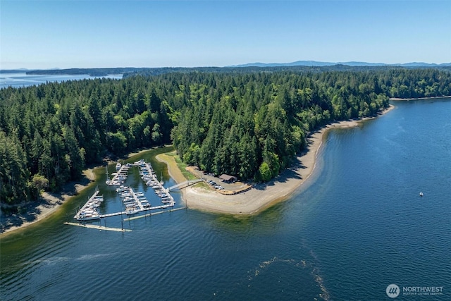 127 E Barnacle Blvd, Shelton, WA 98584 - aerial view of a water and mountain view