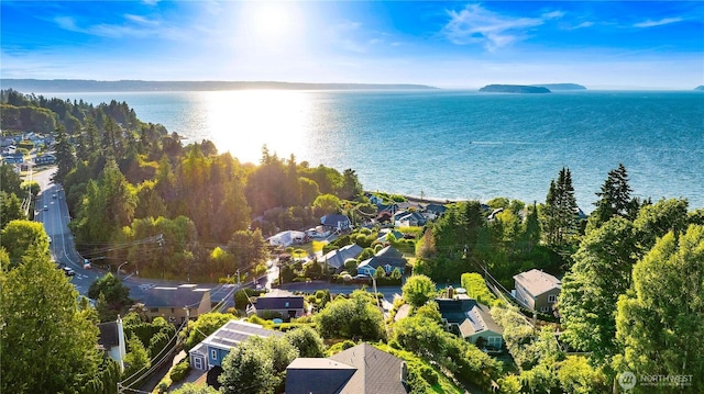 1418 W Mukilteo Blvd, Everett, WA 98203 - aerial view of residential area featuring a large body of water