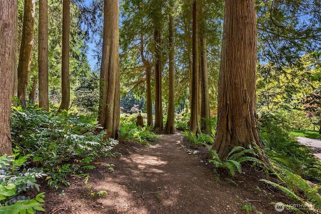 9631 Summer Hill Ln NE, Bainbridge Island, WA 98110 - photo 23
