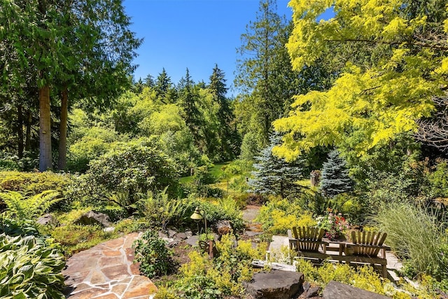 9631 Summer Hill Ln NE, Bainbridge Island, WA 98110 - photo 13