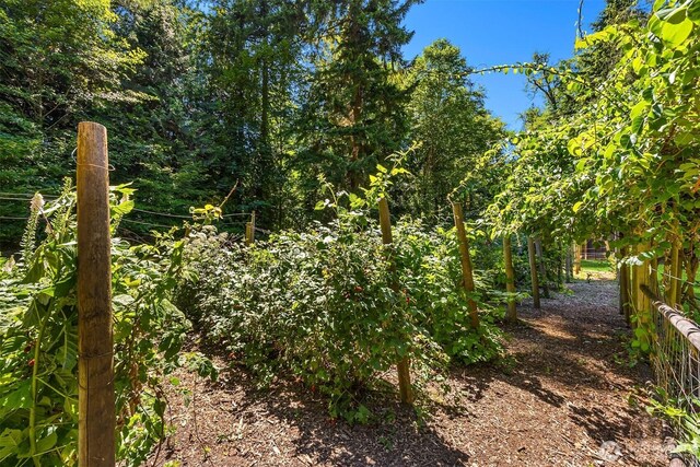 9631 Summer Hill Ln NE, Bainbridge Island, WA 98110 - photo 34