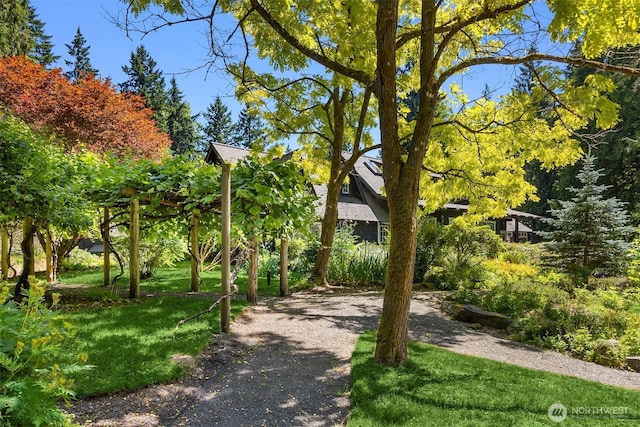 9631 Summer Hill Ln NE, Bainbridge Island, WA 98110 - photo 38