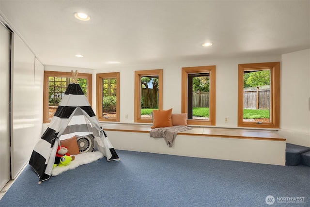 19081 11th Ave NW, Shoreline, WA 98177 - rec room with recessed lighting and carpet floors