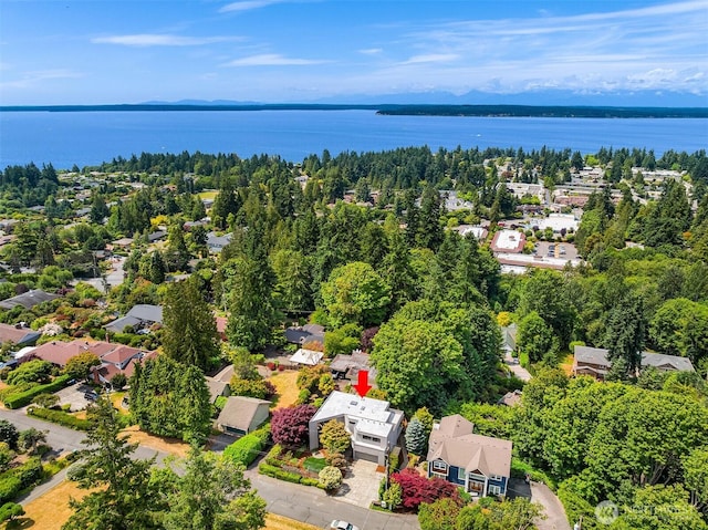19081 11th Ave NW, Shoreline, WA 98177 - bird's eye view of a large body of water