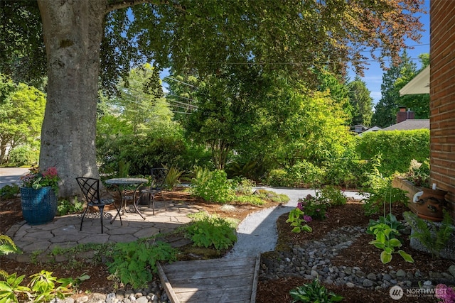 10541 20th Ave NE, Seattle, WA 98125 - photo 3