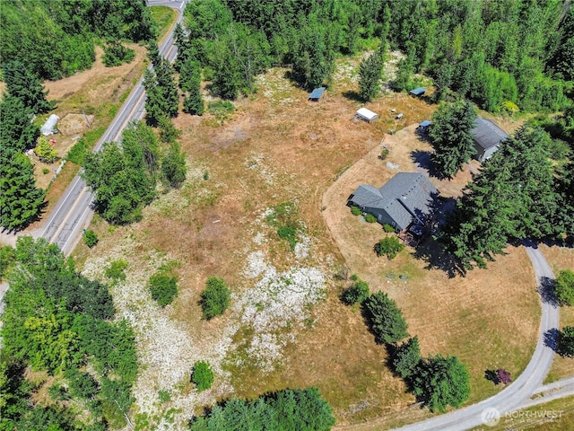 12310 Morris Rd SE, Yelm, WA 98597 - aerial view of property's location
