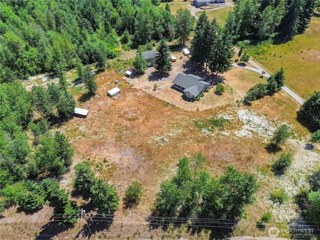12310 Morris Rd SE, Yelm, WA 98597 - aerial view of property and surrounding area
