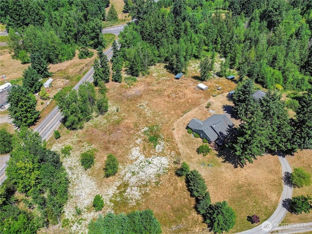 12310 Morris Rd SE, Yelm, WA 98597 - aerial view of property's location