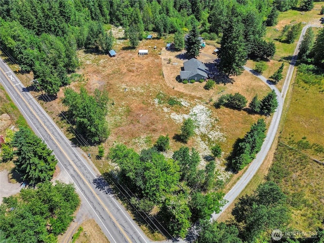 12310 Morris Rd SE, Yelm, WA 98597 - aerial view of property's location