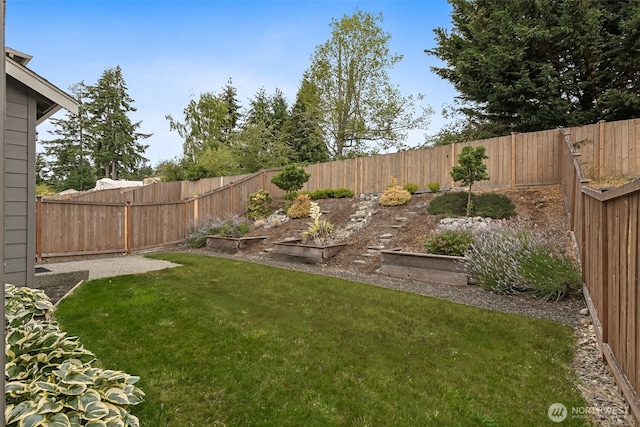 7022 Raptor Ave NE, Lacey, WA 98516 - fenced backyard with a garden