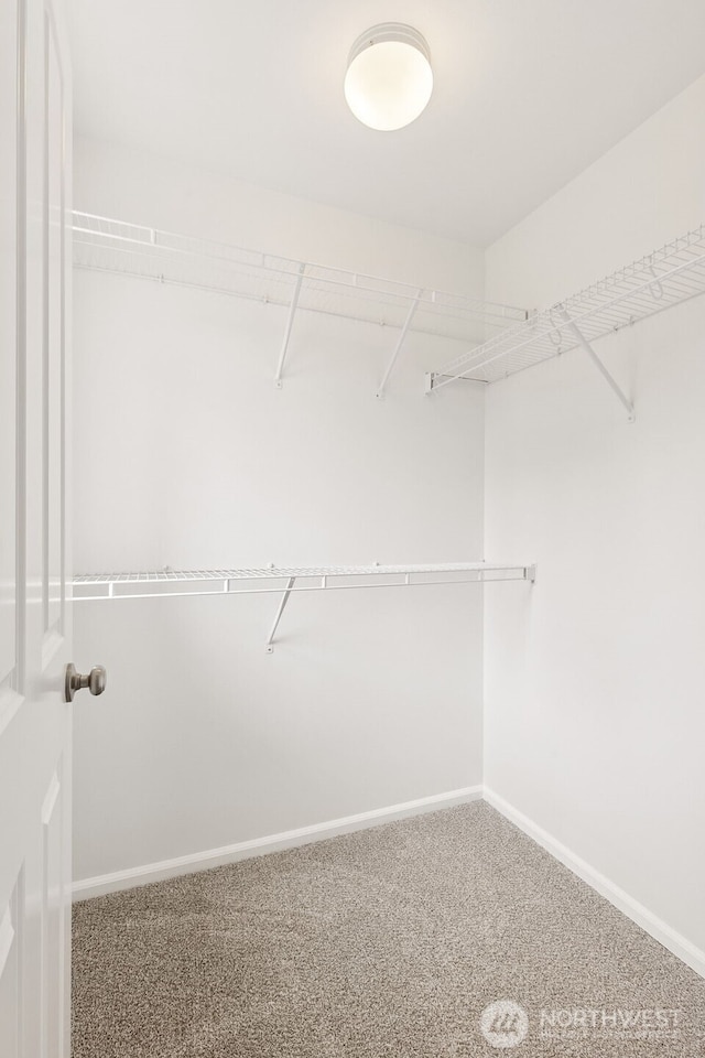 7022 Raptor Ave NE, Lacey, WA 98516 - walk in closet with carpet floors