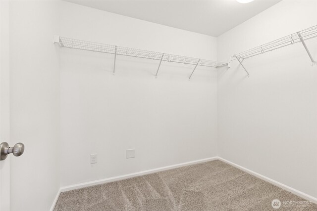 7022 Raptor Ave NE, Lacey, WA 98516 - spacious closet with carpet