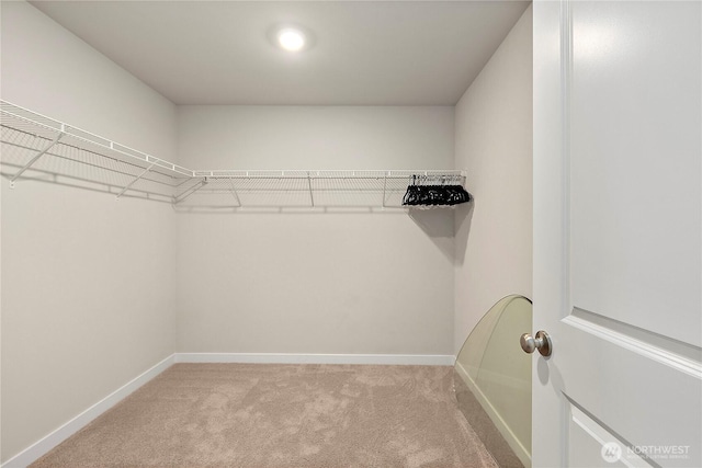 20912 77th St E, Bonney Lake, WA 98391 - photo 23