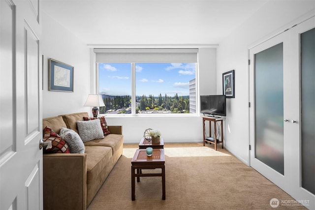 177 107th Ave NE Unit 1906, Bellevue, WA 98004 - view of carpeted living room
