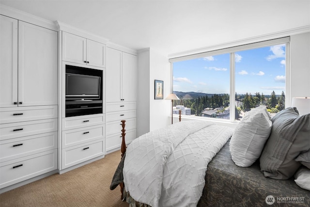 177 107th Ave NE Unit 1906, Bellevue, WA 98004 - bedroom featuring light carpet, multiple windows, and multiple closets