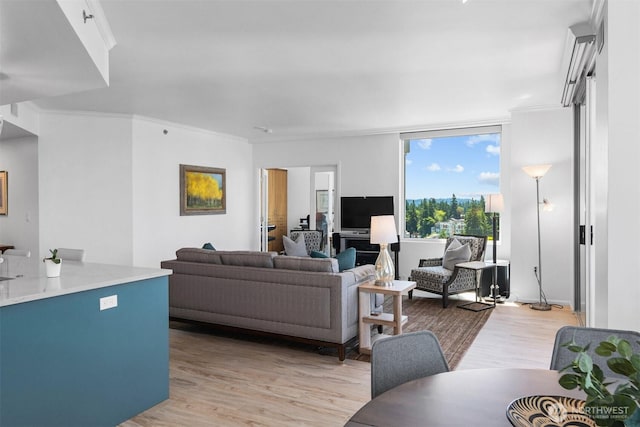 177 107th Ave NE Unit 1906, Bellevue, WA 98004 - living room with light wood-type flooring and ornamental molding