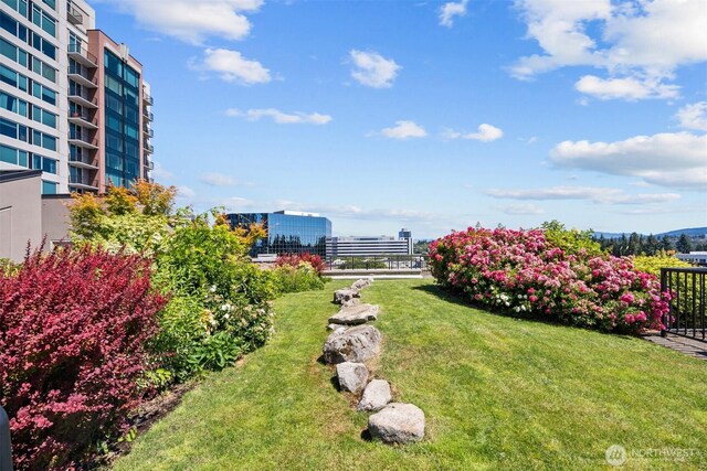 177 107th Ave NE Unit 1906, Bellevue, WA 98004 - view of green lawn