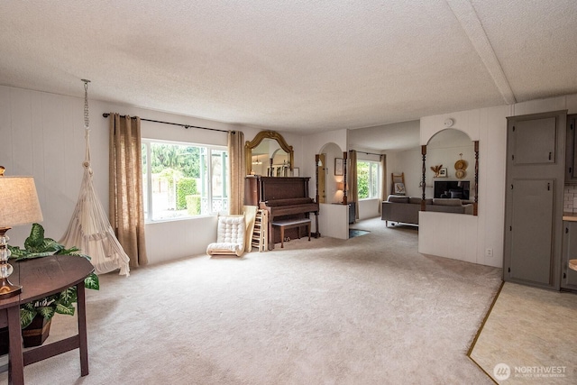 1729 154th St S, Spanaway, WA 98387 - living room with carpet floors and a textured ceiling