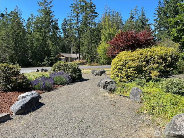 452 Manzanita Dr, Sequim, WA 98382 - photo 3