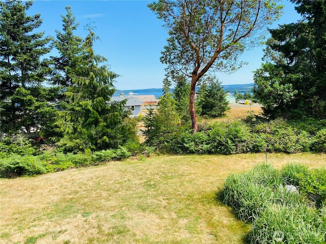 452 Manzanita Dr, Sequim, WA 98382 - photo 24