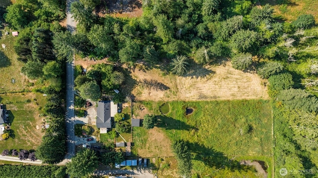30124 Ramstad Rd, Arlington, WA 98223 - bird's eye view
