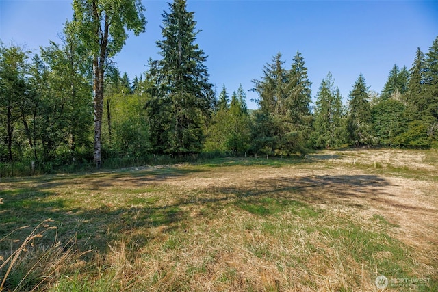 30124 Ramstad Rd, Arlington, WA 98223 - view of woods