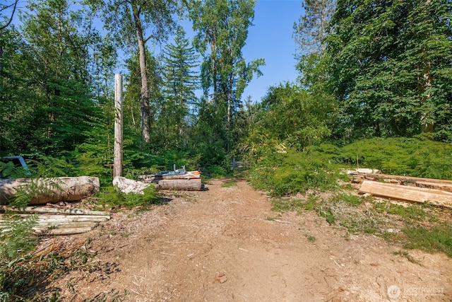 30124 Ramstad Rd, Arlington, WA 98223 - view of road
