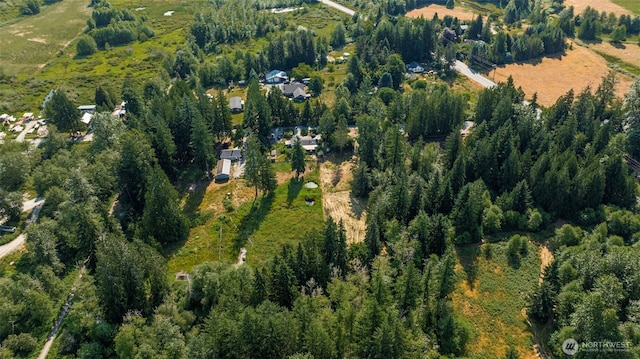 30124 Ramstad Rd, Arlington, WA 98223 - aerial view of property's location