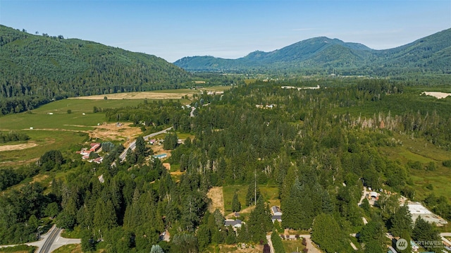 30124 Ramstad Rd, Arlington, WA 98223 - view of mountain background featuring a forest
