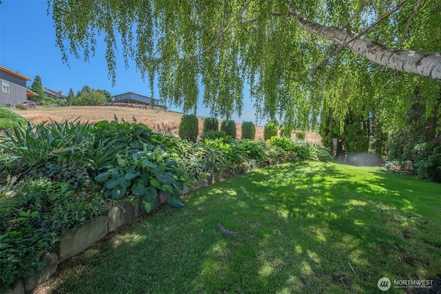 3716 Knowles Rd, Wenatchee, WA 98801 - view of grassy yard