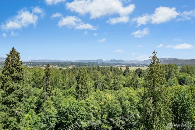 13830 Old Snohomish Monroe Rd, Snohomish, WA 98290 - view of mountain backdrop