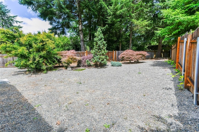 4508 36th Ct SE, Lacey, WA 98503 - view of fenced backyard