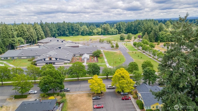 4508 36th Ct SE, Lacey, WA 98503 - drone / aerial view
