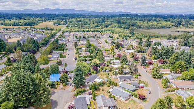 4508 36th Ct SE, Lacey, WA 98503 - aerial perspective of suburban area featuring mountains