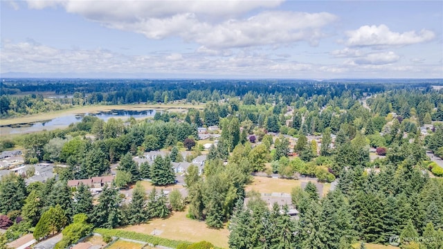 4508 36th Ct SE, Lacey, WA 98503 - drone / aerial view of a large body of water and a heavily wooded area