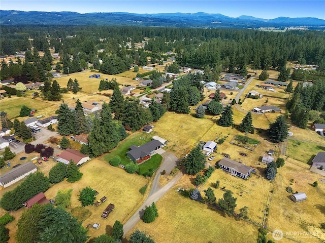 8336 178th Ave SW, Rochester, WA 98579 - photo 36