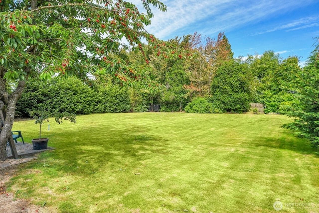 9713 4th Ave W, Everett, WA 98204 - view of green lawn