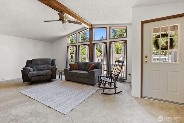 5810 Fleming St Unit 15, Everett, WA 98203 - photo 3