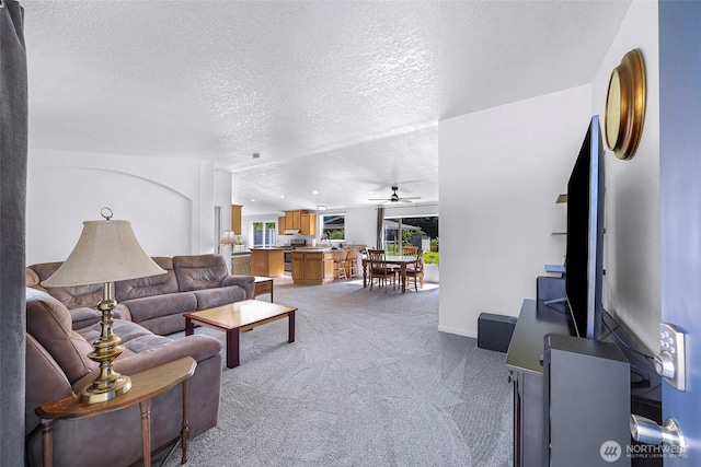 8654 Valley View Rd, Custer, WA 98240 - carpeted living area featuring a textured ceiling and a ceiling fan
