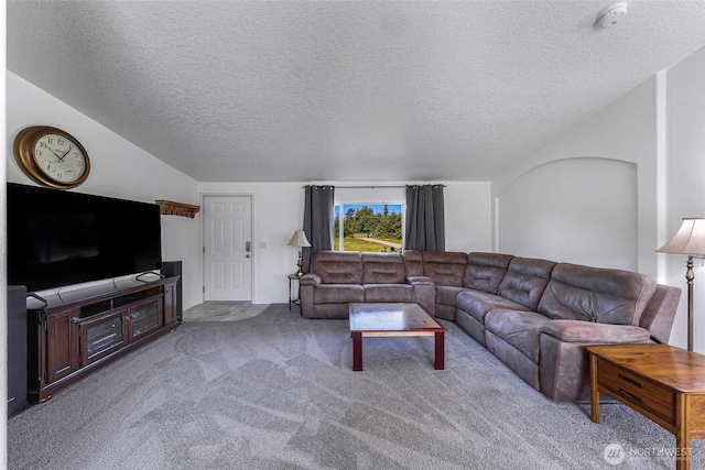 8654 Valley View Rd, Custer, WA 98240 - carpeted living room featuring a textured ceiling and lofted ceiling