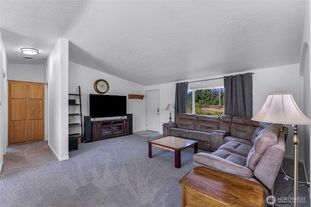 8654 Valley View Rd, Custer, WA 98240 - living room with a textured ceiling, lofted ceiling, and carpet