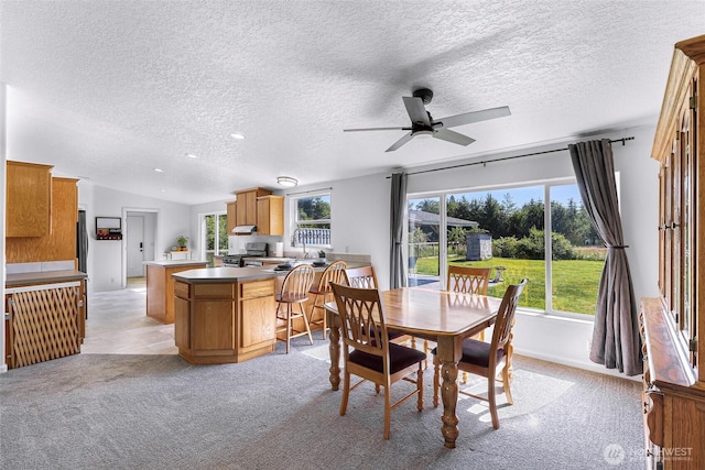8654 Valley View Rd, Custer, WA 98240 - dining space featuring a textured ceiling, ceiling fan, and light carpet